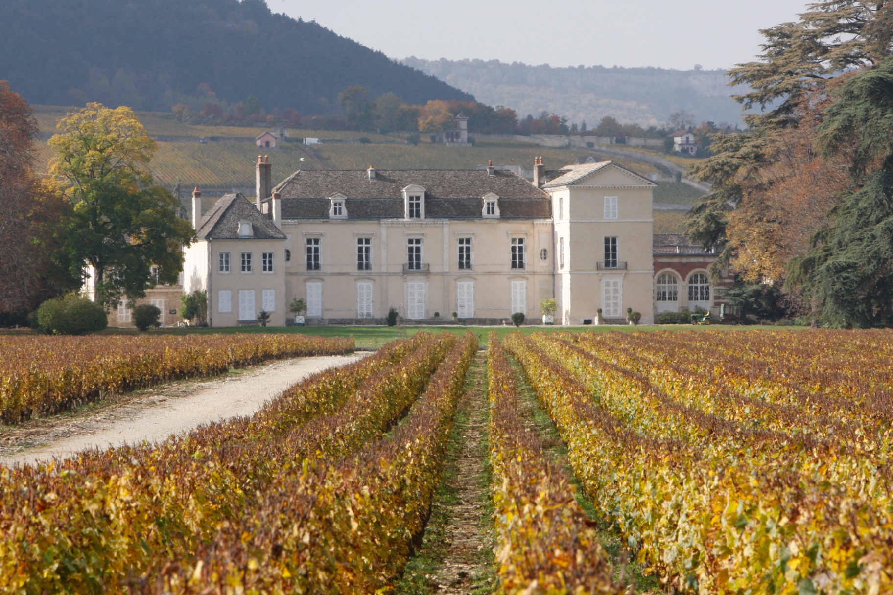 Château de Meursault at golden hour with vineyards and lavender